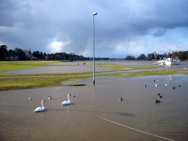 2009-03-09, Hochwasser (5).JPG